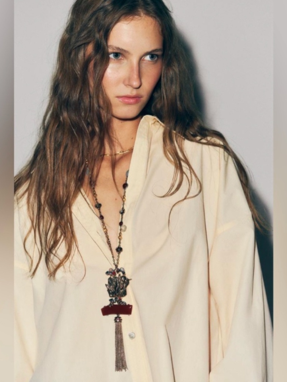 NWT Zara Bird Stone Link Necklace